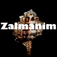 Zalmanim